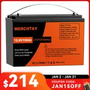 12V 100Ah Lithium Iron Phosphate Battery LiFePO4 Rechargeable Camping RV