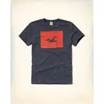 【HOLLISTER CO.】PRINTED LOGO GRAPHIC TEE 海鷗LOGO ---現貨L【絕對正品】