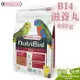 缺《寵物鳥世界》比利時凡賽爾Versele-Laga 歐樂斯Nutribird B14滋養丸(800G)│小型鳥 中小型鳥 鸚鵡 鳥飼料 BS014