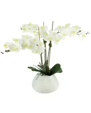 Creative Displays White Orchid Floral Arrangement