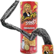 Snake in a Can Prank - Smith'S Snacks Potato Chip - Hilarious Gag Can Pranks for