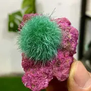 73GIndian dandelion zeolite Quartz Crystal Cluster Mineral Specimen