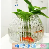 在飛比找Yahoo!奇摩拍賣優惠-魚缸 創意桌面魚缸 玻璃魚缸花瓶 魚缸球形玻璃透明龜缸小號加