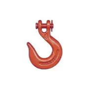 Clevis Slip Hook, 5500Lb