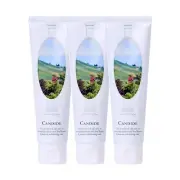 Candide Whitening Toothpaste | 100g x 3ea | Seoul National University Dental Sch