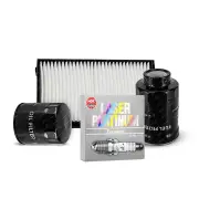 NGK Platinum Spark Plugs & NTK Filter Kit for VW EOS Golf Scirocco Dust Insert