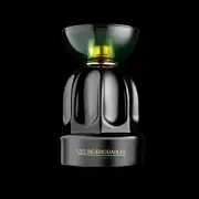 Les Indemodables My Wonderful Oud EDP