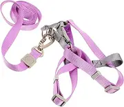 1Set Harness Set with Adjustable Leash Lightweight and Ergonomic Design for Comfortable Walking for Outdoor Adventures with Puppies and Dogs