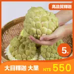 【果樂釋迦專賣】大目釋迦大果/5斤一盒 台東  太麻里 釋迦 台東 禮盒 水果