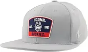 Zephyr NCAA Officially Licensed Fitted Hat M15z Switchback Light Gray