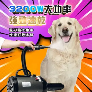 【台北現貨】寵物吹風機美容專用 貓咪 狗 寵物用品 寵物吹水機 吹風機靜音 貓狗寵物專用烘干吹毛機 (8.7折)