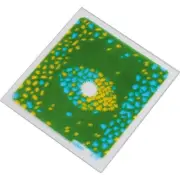 Lens Filter Cokin P Series P674 C.Spot Blue / Yellow (84 x 84 mm)