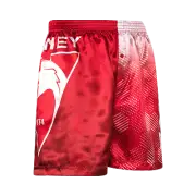 Sydney Swans AFL AF9814 S21 Boys Team Logo Printed Satin Boxer Shorts New