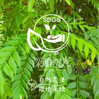 在飛比找蝦皮購物優惠-新鮮咖哩葉/香料入菜/自然農法無農藥栽培/友善環境/純露製作