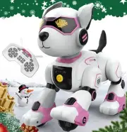 Robot Dog Toy for Kids, Programmable Remote Control Robot Puppy with Voice & ...