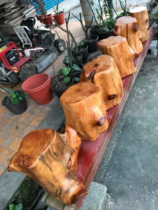台灣檜木原木椅
