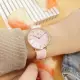 【Daniel Wellington】Petite Coral 珍珠母貝 尼龍手錶 銀白x玫瑰金框x粉 32mm(DW00100515)