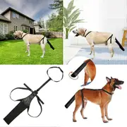 Dog Tail Protector Bag Dogs Tail Guard Sleeve Wound Heal Protector for Pets Anim M