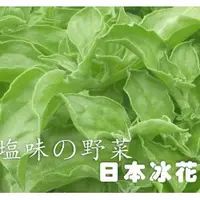 在飛比找蝦皮購物優惠-【全館590免運】日本冰菜(水晶冰花)種子