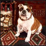 Bulldog -Chart Needlework Crafts DIY-Counted Cross Stitch Pattern