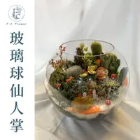 在飛比找蝦皮購物優惠-【F.C Flower】12吋玻璃球仙人掌 仙人掌盆栽 開幕