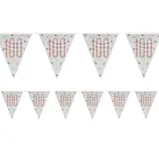 Rose Gold Prismatic 100th Birthday Flag Banner 2.74m