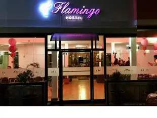 弗拉明戈青年旅館Flamingo Hostel