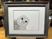 Drawing of a an Barn Owl Bird Wildlife Nature Graphite Pencil Art Sketch Picture
