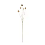 [Sleeping Giant] Poppy Seed Spray Light Brown - 76cm