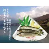 在飛比找遠傳friDay購物優惠-【海撰嚴選】宜蘭冷泉公香魚500g