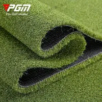 在飛比找Yahoo!奇摩拍賣優惠-現貨 PGM人造草 高爾夫高密度 假草皮地毯 假草坪 塑料人