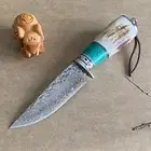 Damascus Steel Fixed Blade Hunting Knife Antler Handle Outdoor Survival Knives