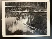 POSTCARD ANSEL ADAMS PHOTO CALIFORNIA, YOSEMITE, NAT’L PARK- SIESTA LAKE, 1958