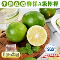 在飛比找鮮拾優惠-【禾鴻】SGS檢驗屏東小農鮮採綠皮檸檬2箱(3斤/箱)_(預