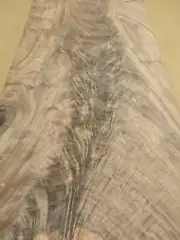 Walnut Crotch wood veneer 14" x 31" raw with no backing 1/42" AA grade ID # 14