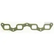 Platinum Extractor Gasket - HSM70