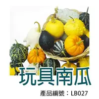 在飛比找蝦皮購物優惠-【醬米資材】DIY種子栽種 成就滿滿~玩具南瓜