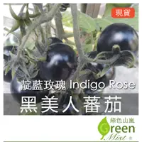 在飛比找蝦皮購物優惠-現貨- 黑美人蕃茄 (3粒種子) 正宗Indigo Rose