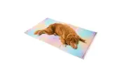 Pet Cooling Mat Dog Gel Non-Toxic Bed Cat Puppy Sofa Self-cool Summer Large