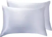 Luxury Pillowcase 2 Pack - 100% Pure Mulberry Silk on Both Sides - Silver