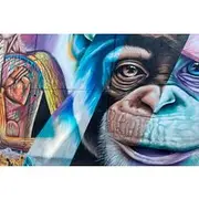 Save 5.01%! Commune Tour 13 Medellin Art History and Graffiti Class