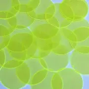 Round Vinyl Shape 40mm Yellow Go Go Fluorescent Edge Glow