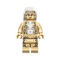 在飛比找蝦皮商城優惠-LEGO人偶 SH635 超級英雄系列 Cheetah (D