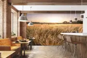 3D Autumn Grass A1105 Wallpaper Wall Mural Self-adhesive Assaf Frank Amy 2023