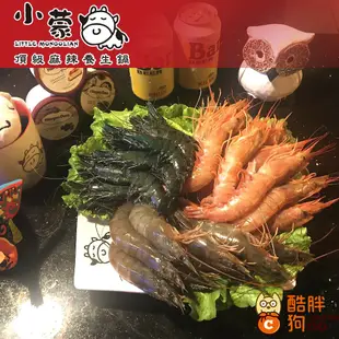 【酷胖狗】小蒙牛 紙本 餐券 禮券 餐卷 禮卷 火鍋吃到飽 天使紅蝦 和牛 霜降牛 頂級麻辣養生鍋 豪華 麻辣鍋