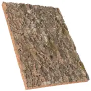 Bark Background Decoration Turtle Tank Basking Platforms Reptile Cork Barks