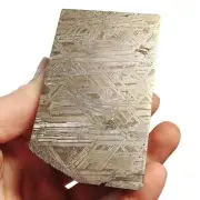 534g Muonionalusta meteorite part slice QC753