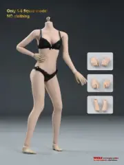 TBLeague PH 1:6 S19B Mid Bust Suntan Skin Flexible 12" Female Action Figure Body