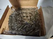 Lotus Chain ANSI 100-1 Roller Chain 10FT.