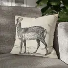 CUSHION COVER PILLOW CASE|PRONG-HORNED-ANTELOPE